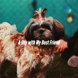A Day with My Best Friend - Relaxing Dog Music Society
