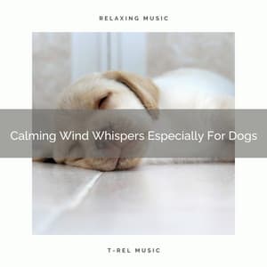 Calming Wind Whispers Especially For Dogs - Dog Total Relax