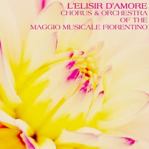 L'Elisir D'Amore - Gaetano Donizetti