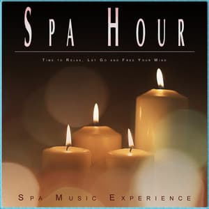 Spa Hour: Time to Relax, Let Go and Free Your Mind - Spa Music Experience