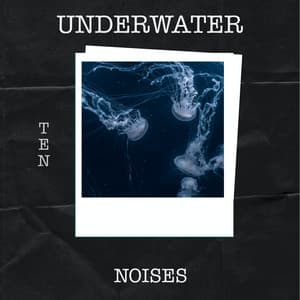 10 Underwater Noises - Nature Radiance