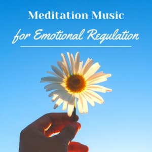 Meditation Music for Emotional Regulation - Relaxing Mindfulness Meditation Relaxation Maestro