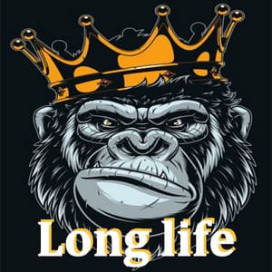 Long life - Boombap Beats