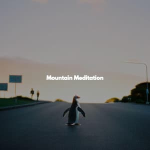 Mountain Meditation - Cafe Chillout Classics
