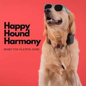 Happy Hound Harmony: Music For Playful Dogs - Happy Instrumental Music