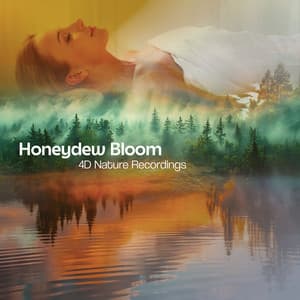 Honeydew Bloom - 4D Nature Recordings