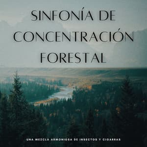 Sinfonía De Concentración Forestal: Una Mezcla Armoniosa De Insectos Y Cigarras - Naturaleza Rainforest Sounds Collective