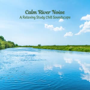 Calm River Noise: A Relaxing Study Chill Soundscape - Riverside Underground