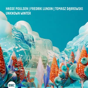 Unknown Winter - Hasse Poulsen