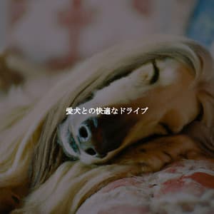 愛犬との快適なドライブ - French Jazz Lounge