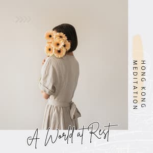 A World at Rest - Hong Kong Meditation