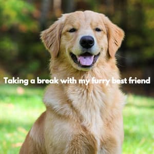 Taking a break with my furry best friend - In Store Music