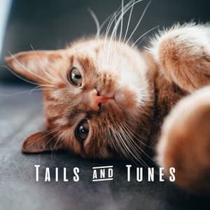 Tails & Tunes: Piano Melodies for Cats - Classical Piano Channel