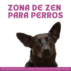 Zona De Zen Para Perros: Naturaleza Relajante Y Sonidos Relajantes Para Perros Felices - Orquesta de las Naturalezas
