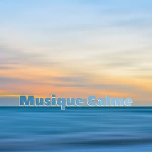 Musique calme - Musique Relaxante 101