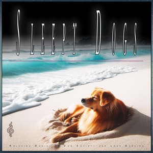 Sleepy Dogs: Relaxing Music for Dog Anxiety and Less Barking - Dog Music Dreams