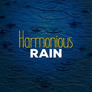Harmonious Rain - Rain Sounds for Meditation