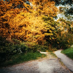 Oriental Spa Music - Active Baby Music Workshop