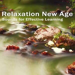 Do Homework & Pass Exam – Relaxation New Age Sounds for Effective Learning - Study New Age Counter Display