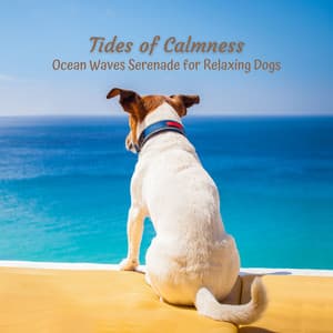 Tides of Calmness: Ocean Waves Serenade for Relaxing Dogs - Sleeping Ocean Waves
