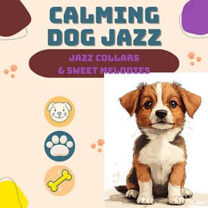Jazz Collars & Sweet Melodies - Calming Dog Jazz