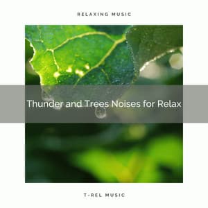 Thunder and Trees Noises for Relax - Calming Rain