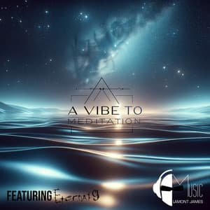 A Vibe To Meditation - Meditation King