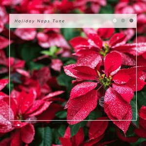 4 Christmas: Holiday Naps Tune - Christmas Songs Remix