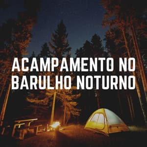 Acampamento No Barulho Noturno - Ruído Branco