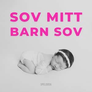 Sov Mitt Barn Sov - Speldosa - Benjamin Bonum Nocte
