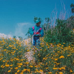 Catarsi Aiwa Maxibon - Pufuleti