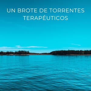 Un Brote De Torrentes Terapéuticos - Paisajes sonoros de agua