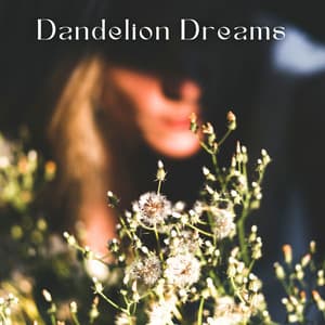 Dandelion Dreams: Beneath the Sunlit Shade - Jazz Music Collection Zone