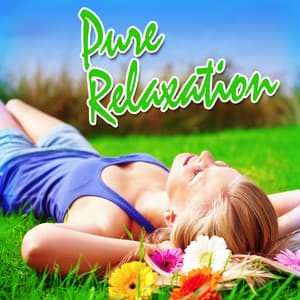 Pure Relaxation: For Relaxing, Stress Relief, Yoga and Tai Chi - Deep Sleep Music