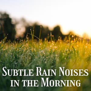 Subtle Rain Noises in the Morning - Binaural Boy