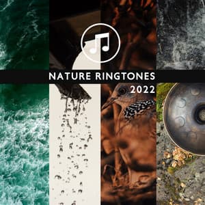 Nature Ringtones 2022: Hang Drum & Ocean Waves & Rain Sounds & Thunderstorm & Forest & Stream & Birds - Sonia White
