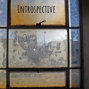 Introspective - Natural Sound Selections