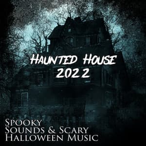 Haunted House 2022: Spooky Sounds & Scary Halloween Music – Ultimate Creepy Effects, Fear Anthem, Horror Music, Best Halloween Party Collection 2016 for Everyone - Haunted Holly