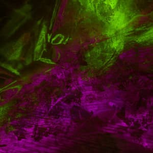 Music for Soul Sounds - Cool Bossa Guitar Trio with Jazz Organ - Night-Time Jazz