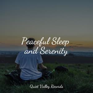 Peaceful Sleep and Serenity - The Sleep Specialist