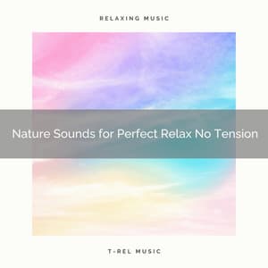 Nature Sounds for Perfect Relax No Tension - Lightning, Thunderstorms & Rain Storm Sounds