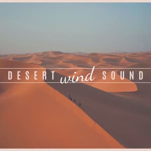 Desert Wind Sound: 2 Hours of Stress Relief Nature Sounds to Meditate, Sleep, Study - Tranquil Music Sound of Nature