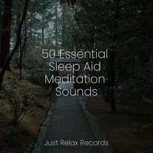 50 Essential Sleep Aid Meditation Sounds - Meditación