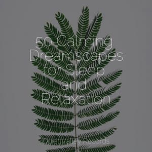 50 Calming Dreamscapes for Sleep and Relaxation - Deep Sleep Brown Noise