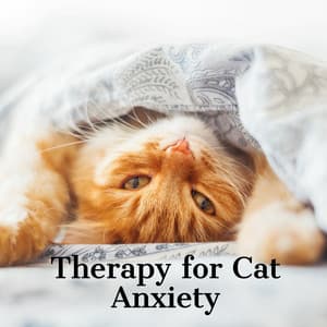 Cats Jazz | Therapy for Cat Anxiety - Jazz Music for Cats