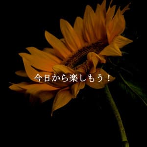 今日から楽しもう！ - Jazzy VIbes for Study Time