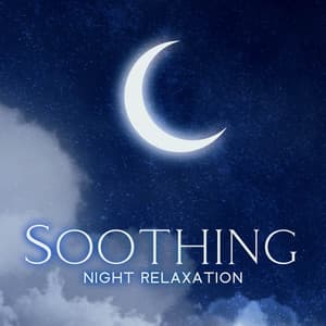 Soothing Night Relaxation - Silent Meditation Zone