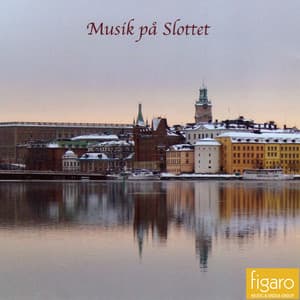 Royal Palace Music Festival - Royal Swedish Chamber Orchestra