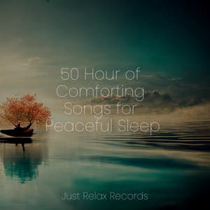 50 Hour of Comforting Songs for Peaceful Sleep - Relaxed Minds