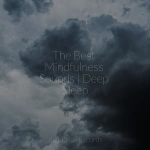 The Best Mindfulness Sounds | Deep Sleep - Calm Music for Studying